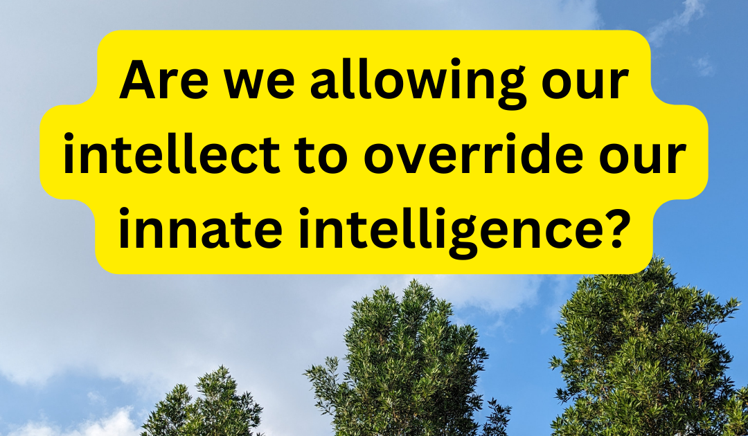 Are we allowing our intellect to override our innate intelligence?