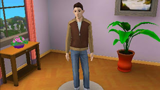 The Sims 3, The Sims 3DS