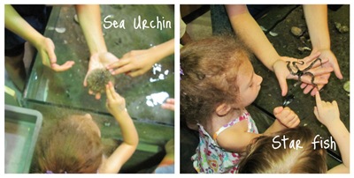 More Touch Tank