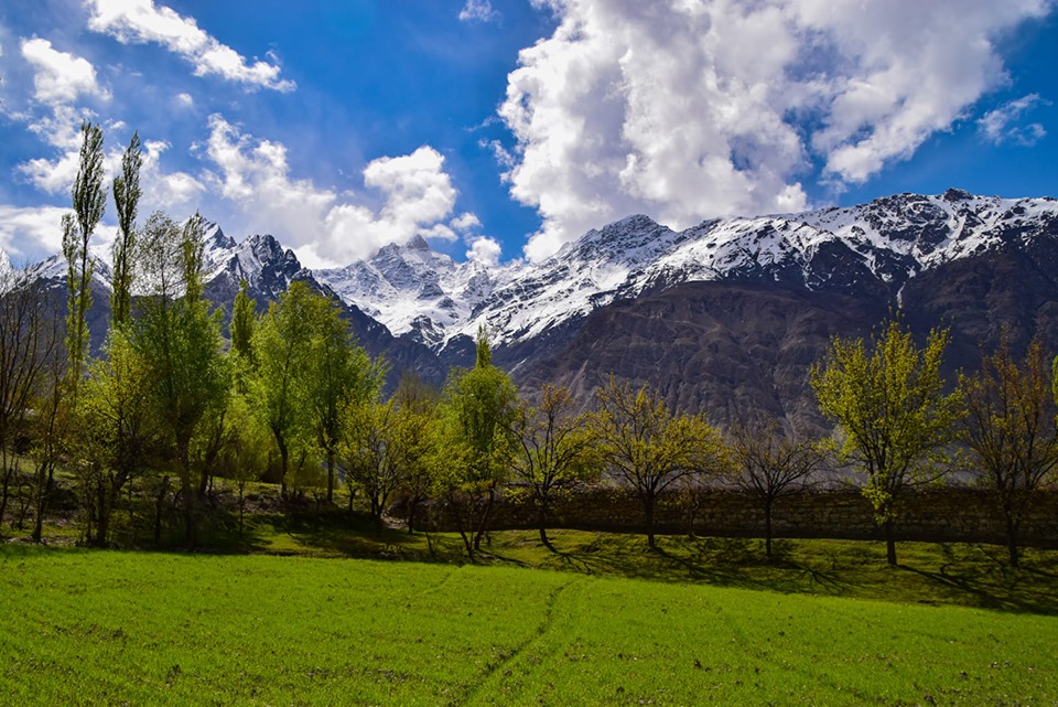 Sultanabad Yasin valley. Sultanabad lush green Gilgit Baltistan. Hindu Kush range Gilgit Baltistan. Hindu raj Gilgit Baltistan. top valley in Gilgit Baltistan
