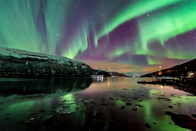 Aurora's From Norway 