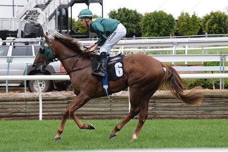 race 3_detective race 3_detective