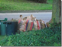 garbage1