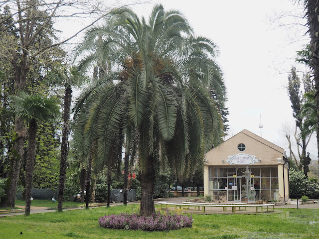 Сочи – парк Ривьера