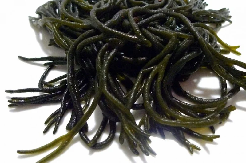 codium
