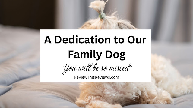 A Dedication to our Family Dog