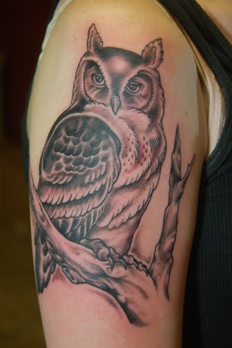 Owl Tattoos 