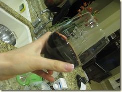 January 2011 004