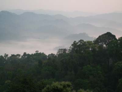 ViewFromTreeHouse2