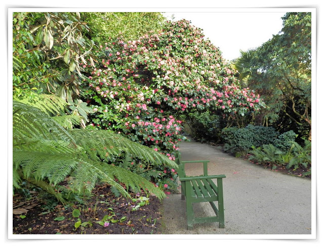 Lost Gardens of Heligan, Cornwall in winter