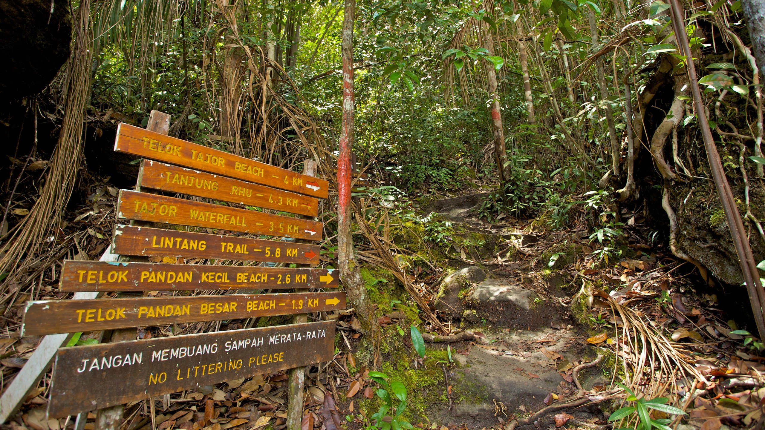 Telok Delima