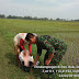 Babinsa Koramil Jetis Dampingi Petani Pemupukan & Penyemprotan Tanaman Padi