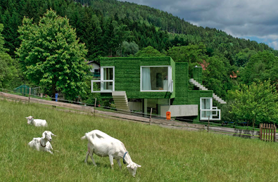 Crazy Astroturf Covered Concrete House In Austria Seen On lolpicturegallery.blogspot.com