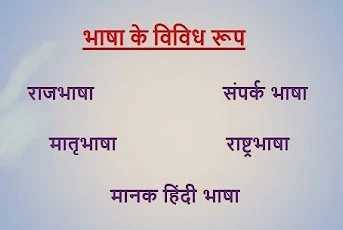 हिंदी भाषा के विविध रूप