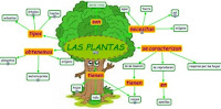 http://cmapspublic.ihmc.us/rid=1LFZSPJKP-1GJH439-1VCV/las%20plantas.cmap?rid=1LFZSPJKP-1GJH439-1VCV&partName=htmljpeg