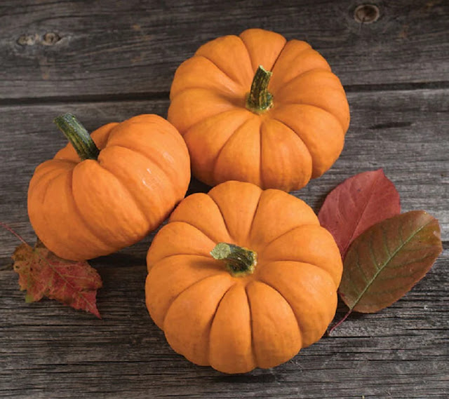 La zucca è il pentolone magico di Oshun