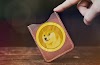 Digital Dogecoin Wallet- How to Create and Use Dogecoin