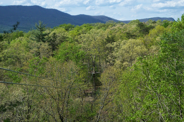 Zip Line at Shenandoah River State Park