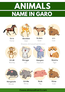 20 Animals name in Garo