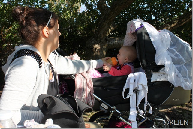 IMG_2620 IMG_2620