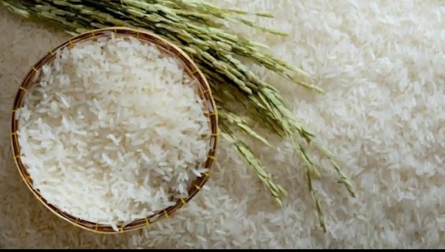 Rice Export:अब भारत का टूटा चावल विदेश नहीं जाएगा,जानें केंद्र सरकार क्यों लिया फैसला