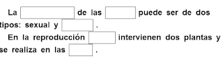 http://cplosangeles.juntaextremadura.net/web/cuarto_curso/naturales_4/reproduccion_sexual_plantas_4/reproduccion_sexual_plantas_4.html