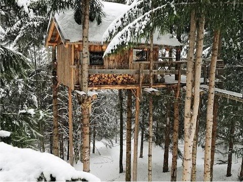 Log Cabin Tree House