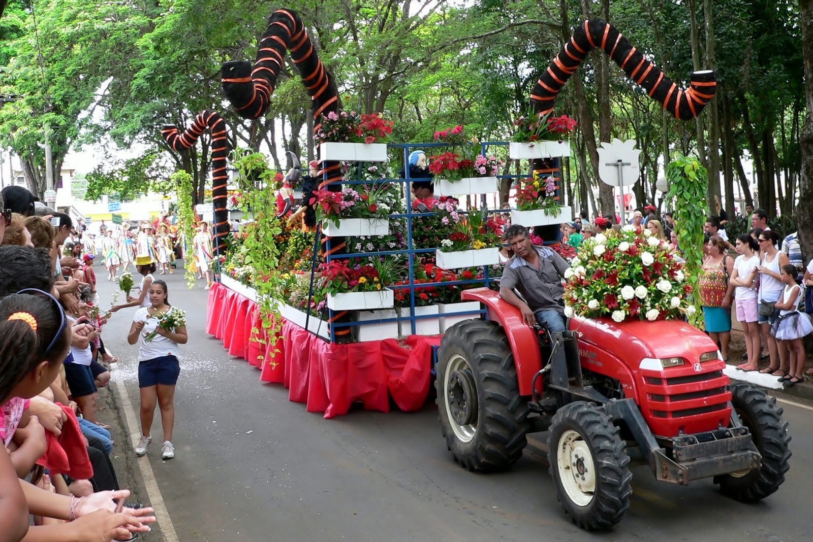 Festa das Flores e Morango de Atibaia Holambra 2015  - Fotos Holambra Festa Das Flores