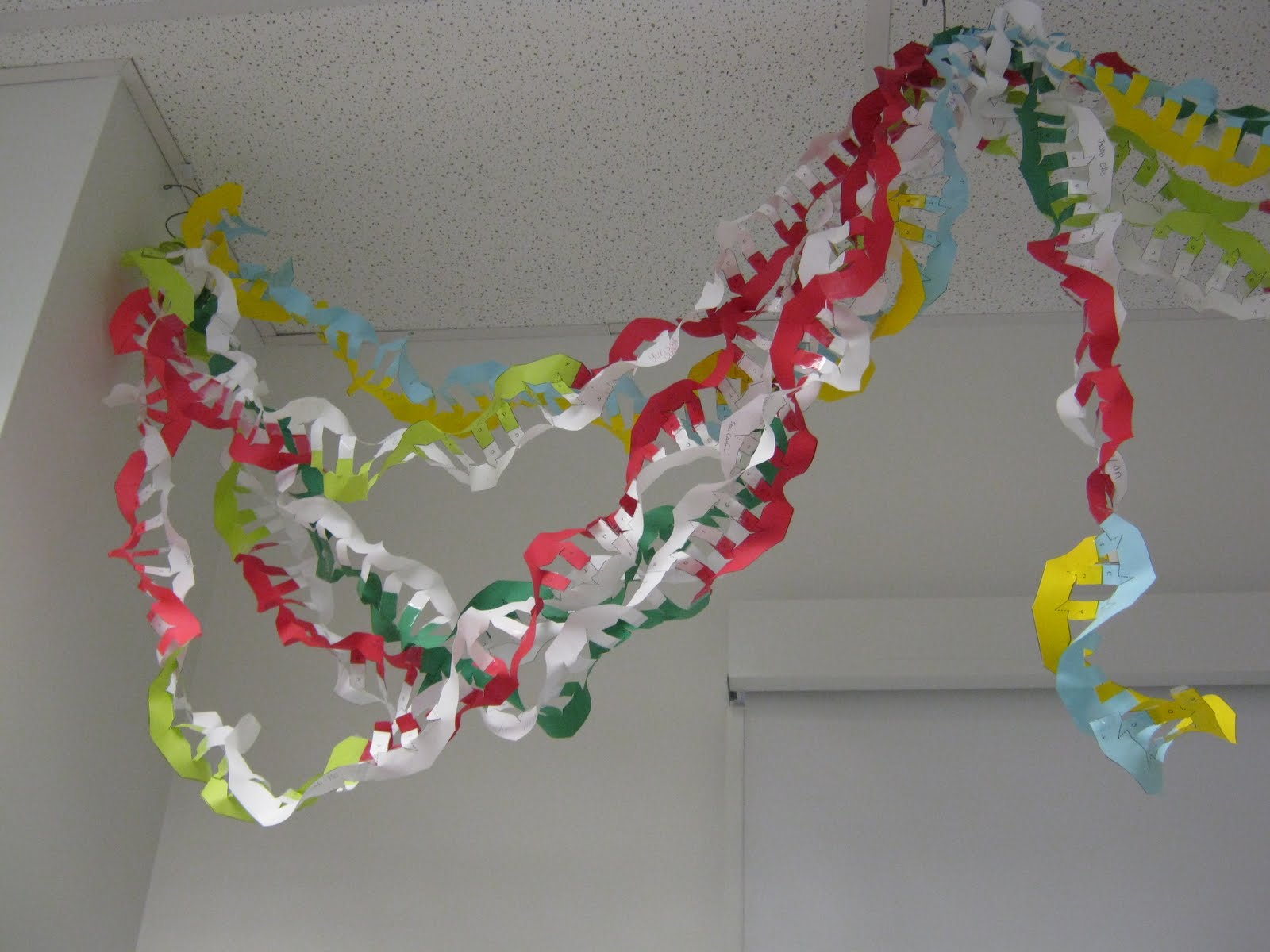 Biology DNA Models http://cavalierscience.blogspot.com/2010/06/paper ...
