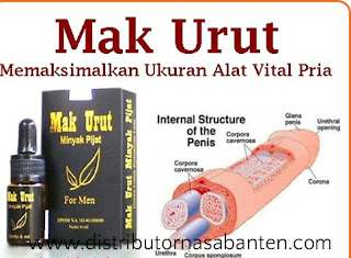 MINYAK PEMANJANG ALAT VITAL