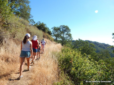 Hiking in Little Llagas Creek Trail, Calero County Park