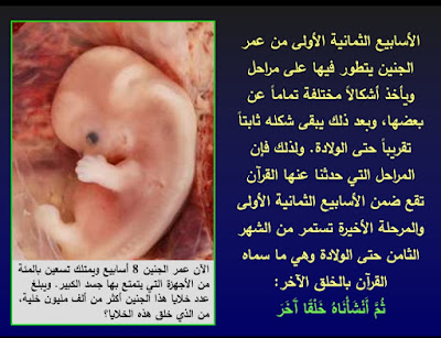 رحله مذهله مع خلق الانسان