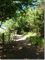 Nature trail