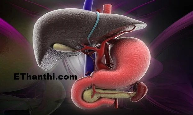 கல்லீரல் கெட்டு விட்டது என்பதை உணர்த்தும் முக்கிய அறிகுறிகள் !