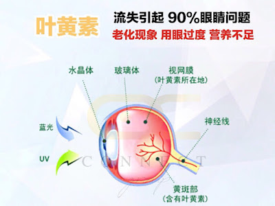 画像 nobel 隐形眼镜 748391-Nobel 隐形眼镜