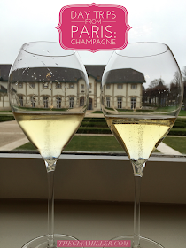 How To Visit Champagne From Paris, Visit Champagne Houses, Visit Champagne Vineyards