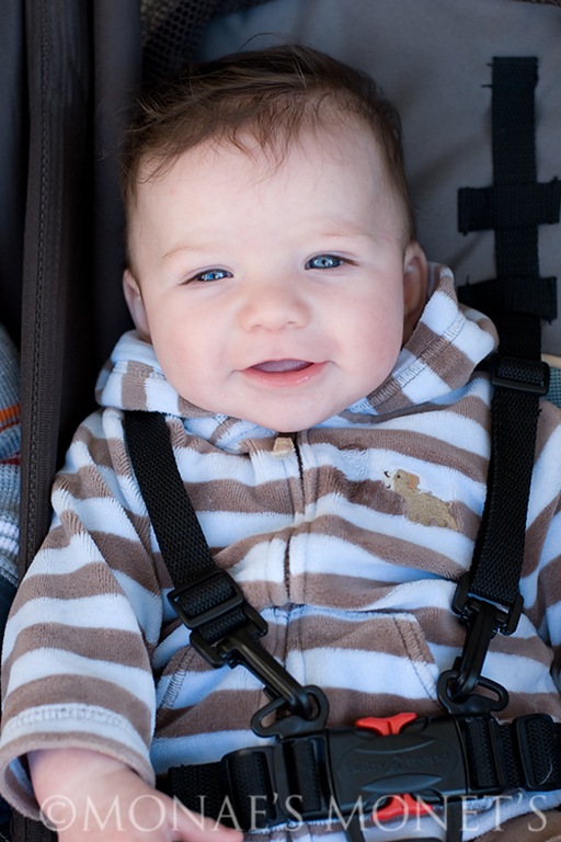 Ryan in stroller blog