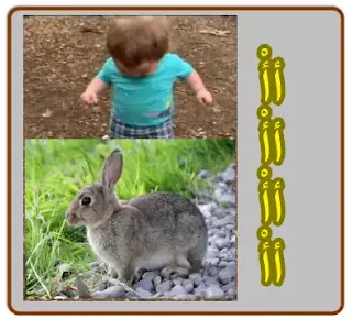 حرف أ ، أنا مميز ، أبي ، أمي ، أرنب مميز فعلا