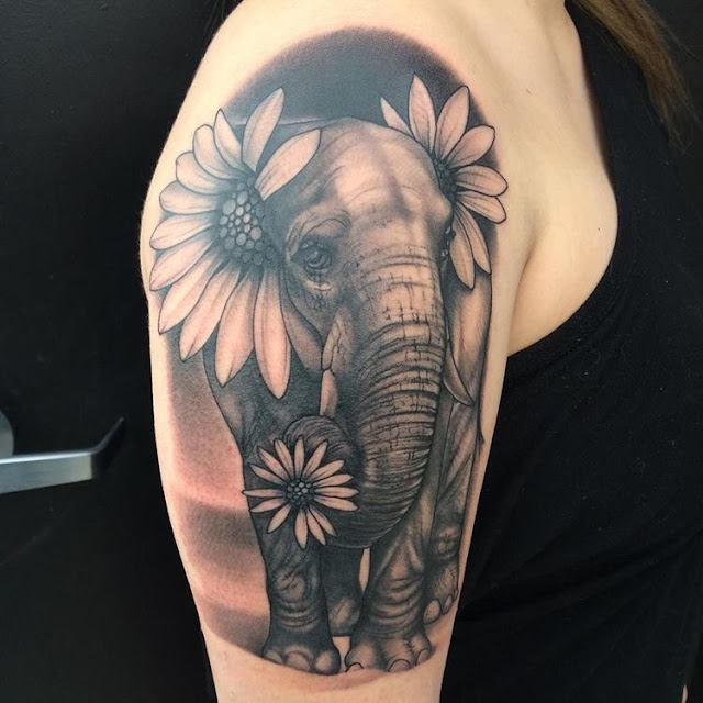 Tatuagens femininas de elefante 