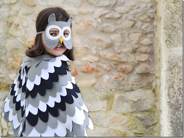 disfraz de pajaros, buhos cisnes con poncho (1)