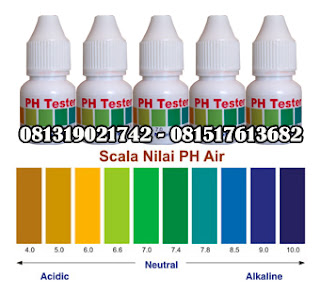 ph tester