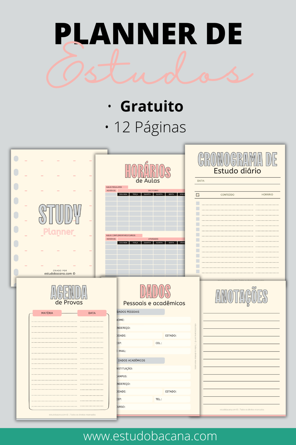 Planner de Estudos em PDF Grátis Para Imprimir rosa