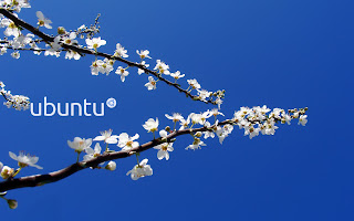 Ubuntu Blue wallpaper