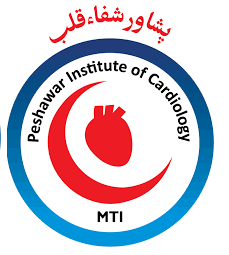 Peshawar Institute of Cardiology PIC Jobs November 2022