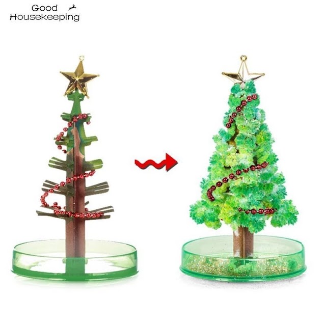 Magic Growing Christmas Tree Buy on Amazon & Aliexpress