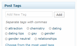 Wordpress blog post tags
