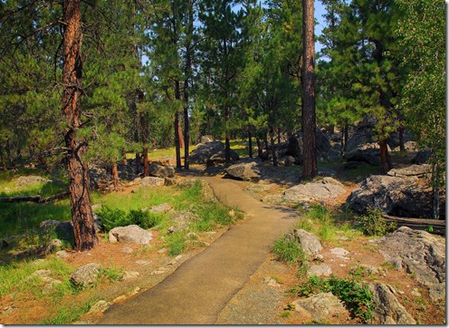 DT Trail