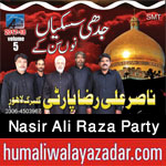 http://www.humaliwalayazadar.com/2015/04/nasir-ali-raza-party-nohay-2008-to-2016.html