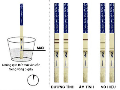 Cách thử thai tại nhà bằng que thử thai