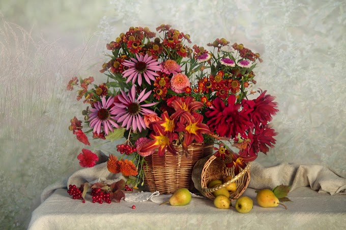 Конкурс цветочных композиций среди пенсионеров «Краски уходящего лета»